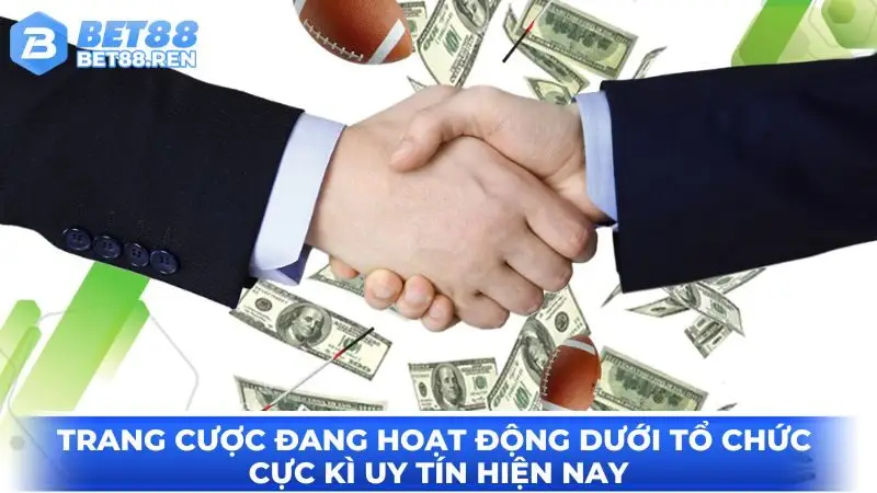 Trang cược đang hoạt động dưới tổ chức cực kì uy tín hiện nay